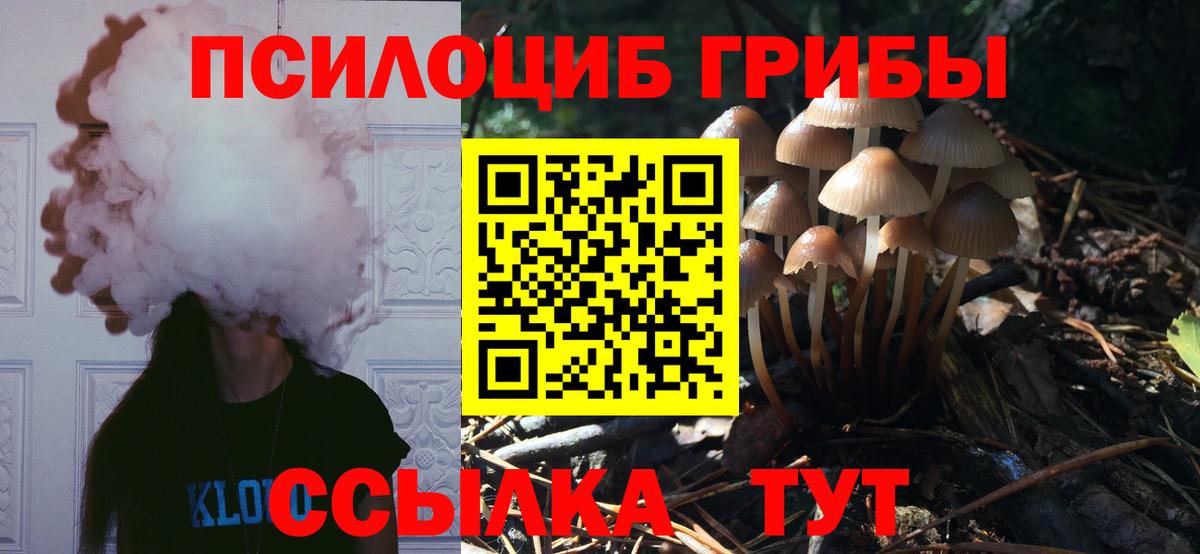 Галлюциногенные грибы GOLDEN TEACHER  Галлюциногенные грибы ЛСД  продажа наркотиков  Ишимбай  Вход с VPN 