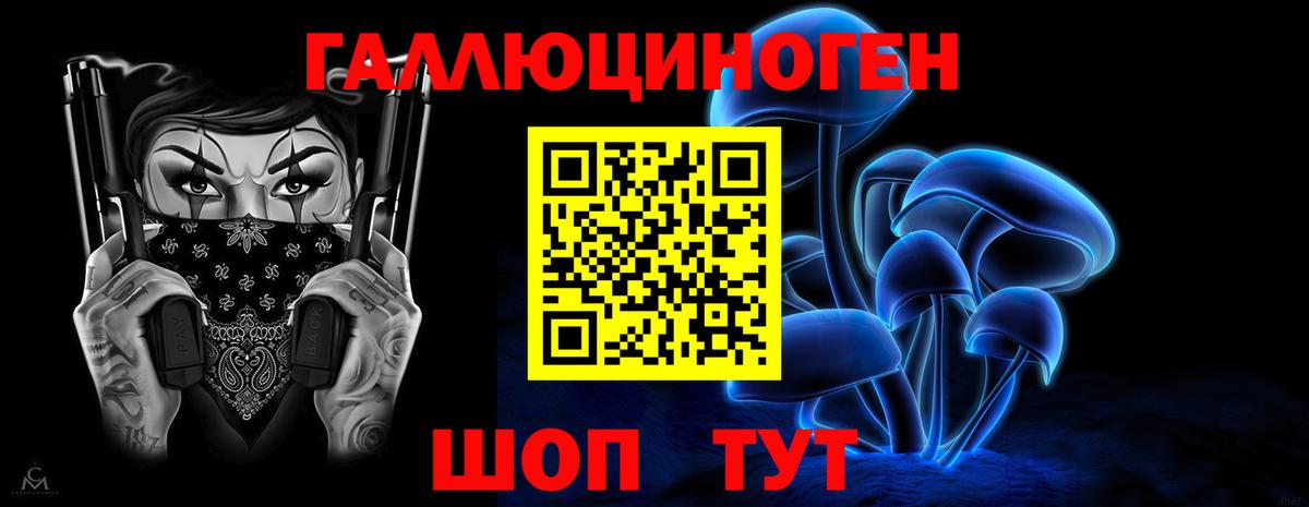 Галлюциногенные грибы Psilocybine cubensis Ишимбай